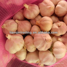 jining fresh garlic